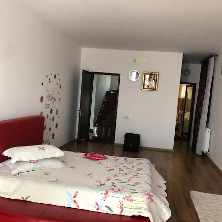 Adelina Apartment Schitu Ngoại thất bức ảnh