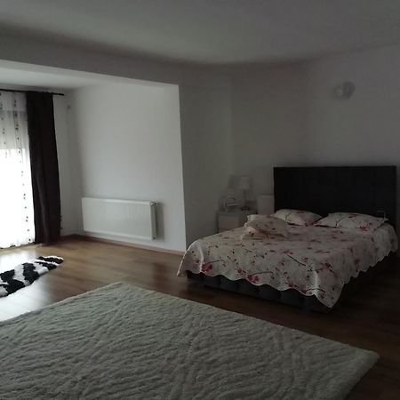 Adelina Apartment Schitu Ngoại thất bức ảnh