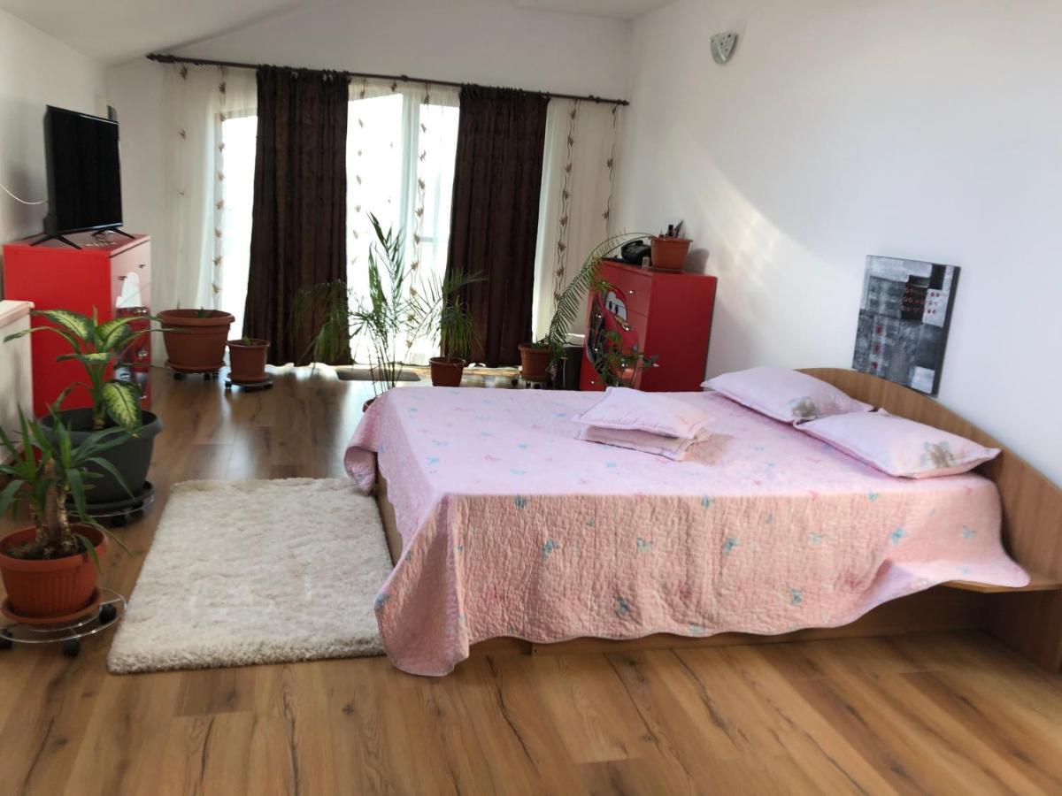 Adelina Apartment Schitu Ngoại thất bức ảnh